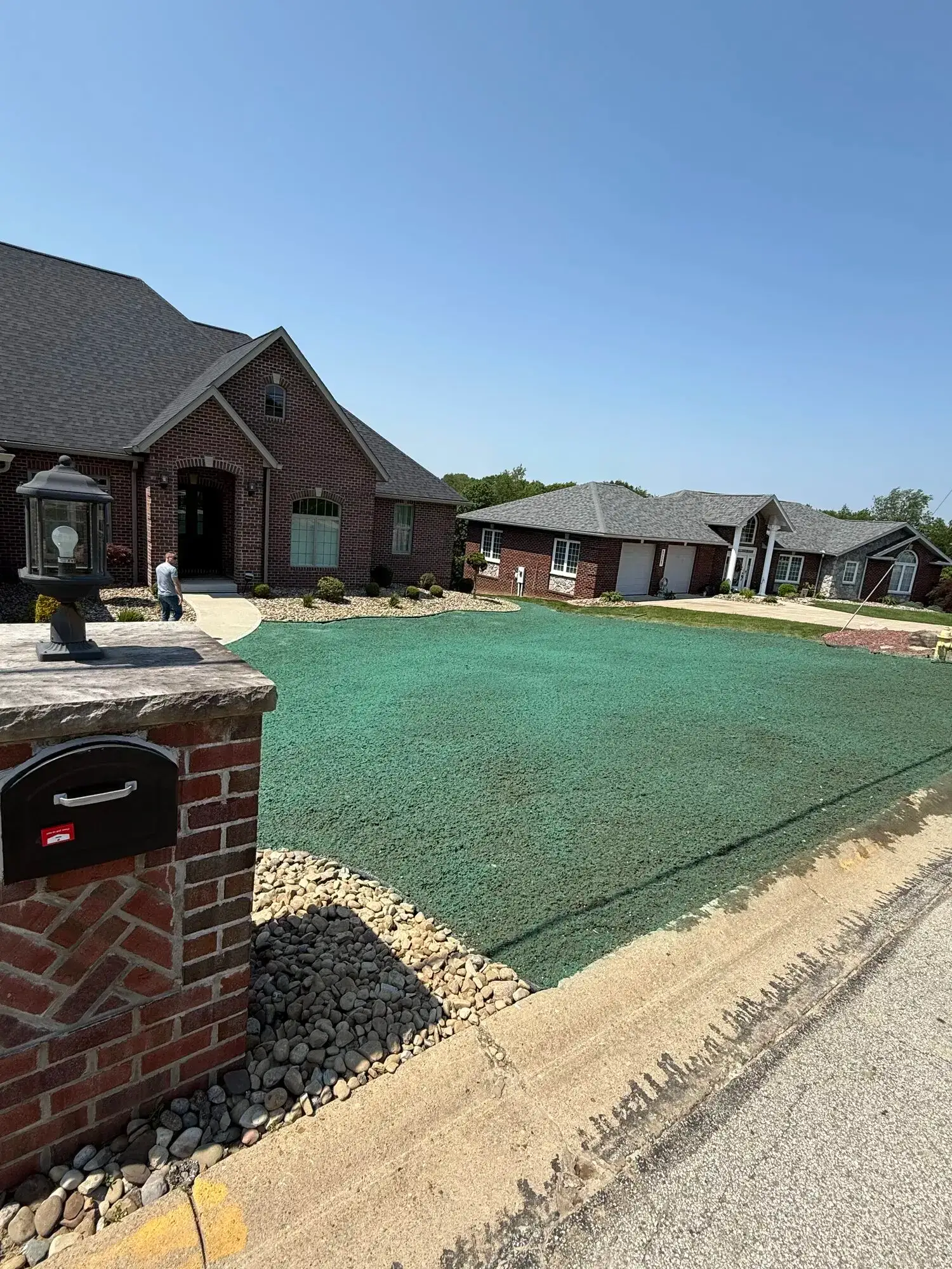 Freshly hydroseeded lawn with green mulch