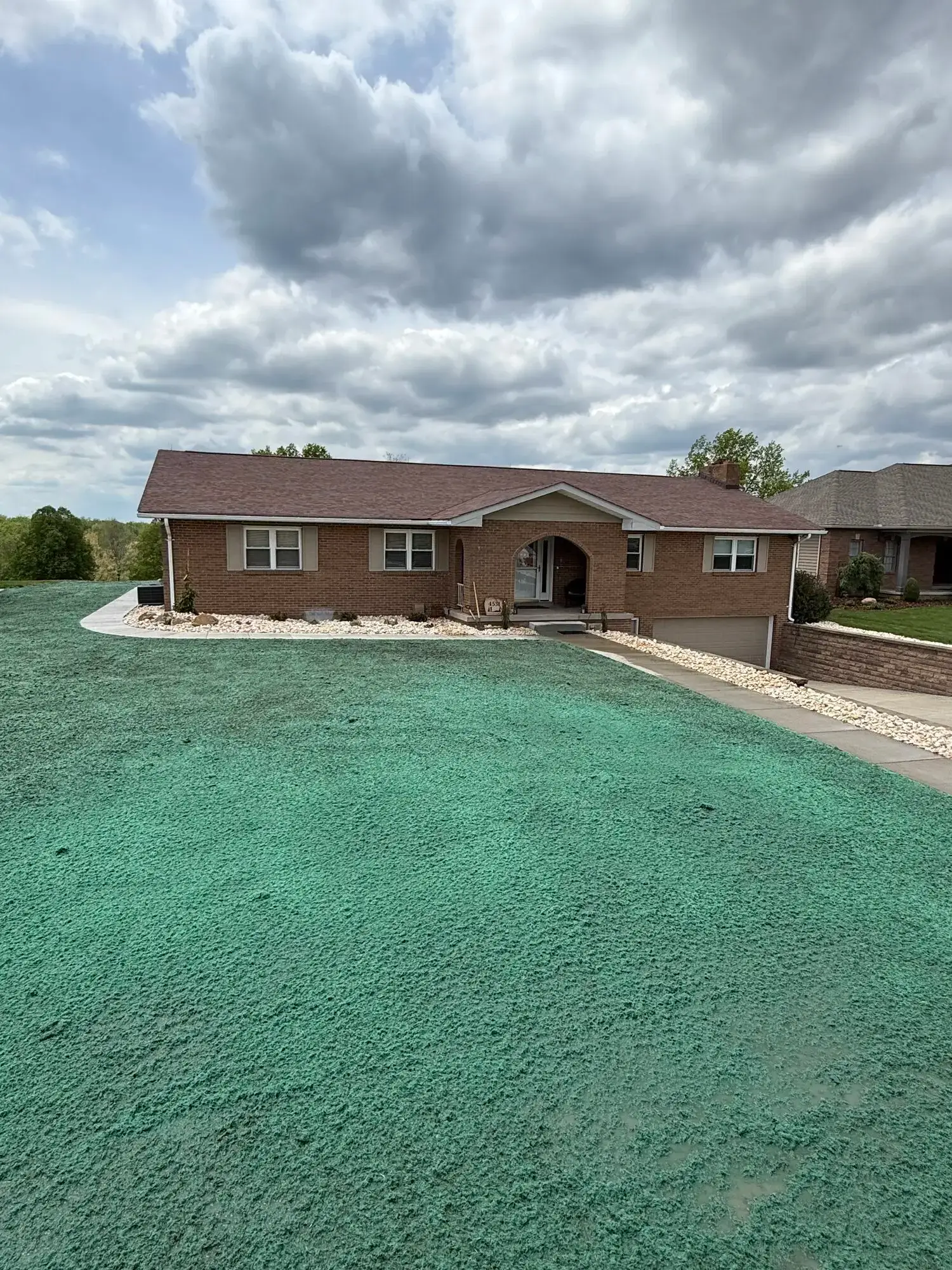 Freshly hydroseeded lawn with green mulch