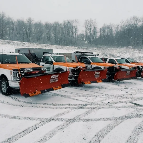 Processed with VSCO with g3 preset